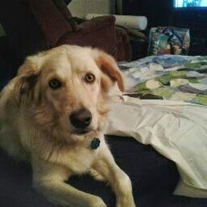 Meet your Posher, Betty ann